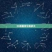 55年属羊今年多大，2022 属猴的今年多大