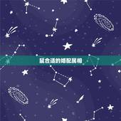 鼠合适的婚配属相，属鼠的和什么属相最合适