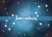属虎的下半年怎么样，虎肖今年的运势