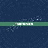 壬寅年2022年卦象，壬寅流年对哪些人有利