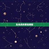生肖虎的更佳婚配，属虎人婚配啥属相更好