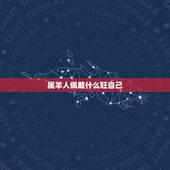 属羊人佩戴什么旺自己，91年属羊的戴什么招财