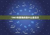 1987年属兔的是什么命五行，1987年属兔是啥命