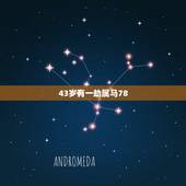 43岁有一劫属马78，属马1978年43走大运
