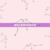 男孩小名叫牛仔好不好，9月份牛宝宝男孩乳名