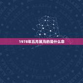 1978年五月属马的是什么命，属马1978年是什么命