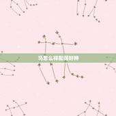 马怎么样配得好种，动物恶心的繁殖方式