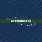 属猪女聚财微信名两个字，属猪女人微信名