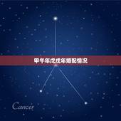 甲午年戊戌年婚配情况，始于甲午马年终于戊戌狗年是什么意思？