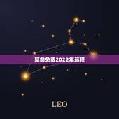 算命免费2022年运程，电脑算2022年运势测算
