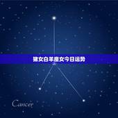 猪女白羊座女今日运势，属猪白羊座女人