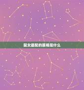 鼠女最配的属相是什么，属鼠女和什么生肖最配婚姻