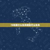 78年属什么生肖婚配什么生肖，78年属相婚配表