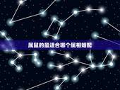 属鼠的最适合哪个属相婚配，属鼠的属相婚配表 属鼠的和什么属相最配？
