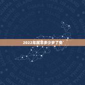 2022年属羊多少岁了免，1978年属马人2022 年运势
