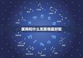 属狗和什么龙属相最好配，属狗和什么属搭配合适？