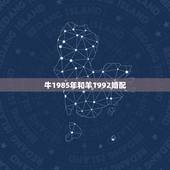 牛1985年和羊1992婚配，1985年属牛的和1991年属羊的相配吗
