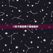 双子座和哪个属相最好，双子座有什么生肖