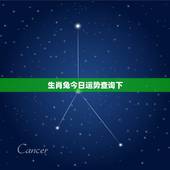 生肖兔今日运势查询下，十二生肖今日财运历史查询