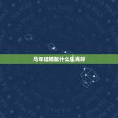 马年结婚配什么生肖好，马配马生肖结婚最好