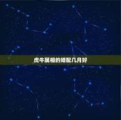 虎牛属相的婚配几月好，属牛和属虎的婚配如何