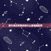 属牛尾巴的男的找什么属相婚配好，属牛的找什么属相的对象最好