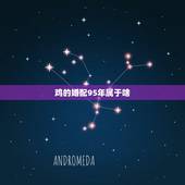 鸡的婚配95年属于啥，1993年的属鸡男和1995年的属猪女适合吗，相