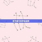 双子座今年学业运势，双子座今年的运势如何？特别是爱情运和学业运.