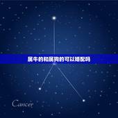 属牛的和属狗的可以婚配吗，属牛的人，跟属狗的，能不能相配？
