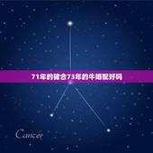 71年的猪合73年的牛婚配好吗，1971属猪女和1973属牛男婚配好吗