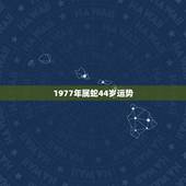 1977年属蛇44岁运势，1977属蛇一生大劫年