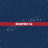 聚财葫芦图片大全，YY葫芦上面画什么图案最聚财