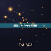 属鼠人2021年每月运势，2021年生肖鼠的全年运势