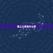 壁上土命是什么命，壁上土命和什么命最配