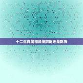 十二生肖属相是按阴历还是阳历，属相应该按阴历还是阳历？