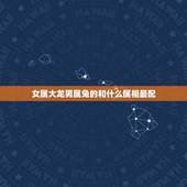 女属大龙男属兔的和什么属相最配，女属龙龙的和什么属相最配