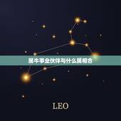 属牛事业伙伴与什么属相合，属牛和那几个属相最好配合工作
