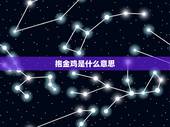 抱金鸡是什么意思，男大一抱金鸡什么意思