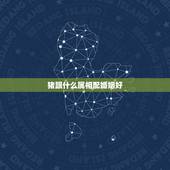 猪跟什么属相配婚姻好，十二生肖属猪跟什么属相（婚恋）最相配