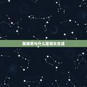 属猪男与什么属相女合适，属龙和什么属相最好