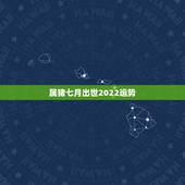 属猪七月出世2022运势，1983年5月份出生的属猪的人今年运势