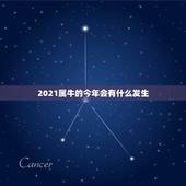 2021属牛的今年会有什么发生，今年属牛的财运和运气如何2021