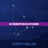 金牛座属相牛适合往北方发展吗，属牛的又是金牛座的人咋样？