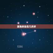 属兔的生在几月好，属兔生在几月最命苦