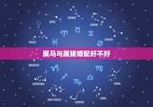 属马与属猪婚配好不好，属马与属猪相配吗