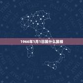 1966年1月1日属什么属相，1966年出生的属相是什么？