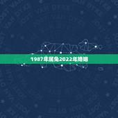 1987年属兔2022年婚姻，87年兔35岁2022年的财运