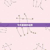 今天属猪的运势，今天属猪的运气好不好？