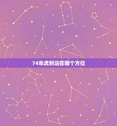 74年虎财运在哪个方位，财运不顺的化解