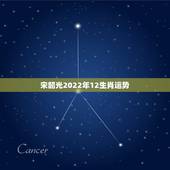 宋韶光2022年12生肖运势，2022年生肖运势完整版